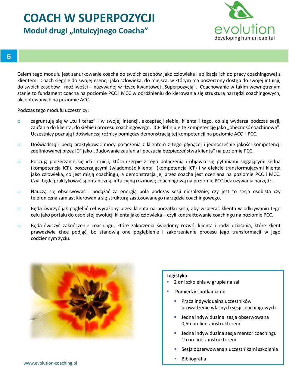 Coachowanie w takim wewnętrznym stanie to fundament coacha na poziomie PCC i MCC w odróżnieniu do kierowania się strukturą narzędzi coachingowych, akceptowanych na poziomie ACC.