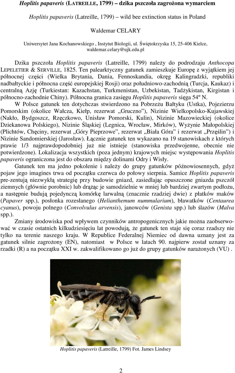 Ten palearktyczny gatunek zamieszkuje Europę z wyjątkiem jej północnej części (Wielka Brytania, Dania, Fennoskandia, okręg Kalingradzki, republiki nadbałtyckie i północna część europejskiej Rosji)