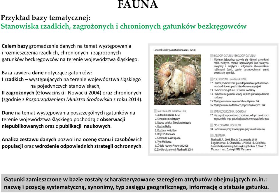 Baza zawiera dane dotyczące gatunków: I rzadkich występujących na terenie województwa śląskiego na pojedynczych stanowiskach, II zagrożonych (Głowaciński i Nowacki 2004) oraz chronionych (zgodnie z