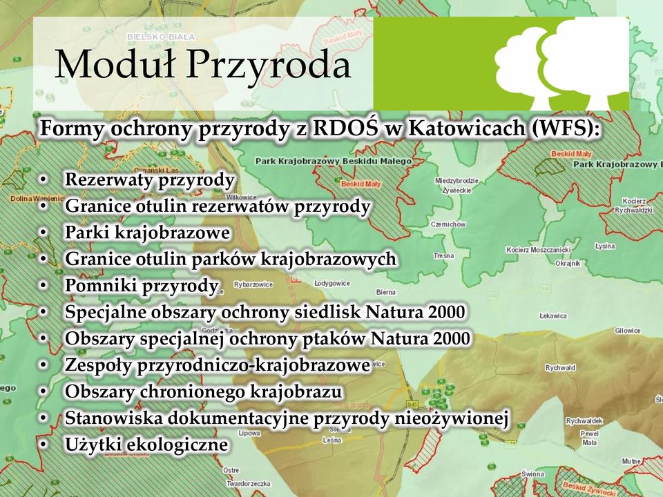 obszary ochrony siedlisk Natura 2000 Obszary specjalnej ochrony ptaków Natura 2000 Zespoły