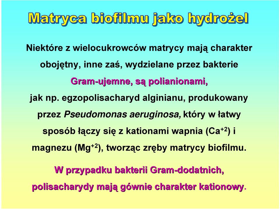 egzopolisacharyd alginianu, produkowany przez Pseudomonas aeruginosa, który w łatwy sposób łączy