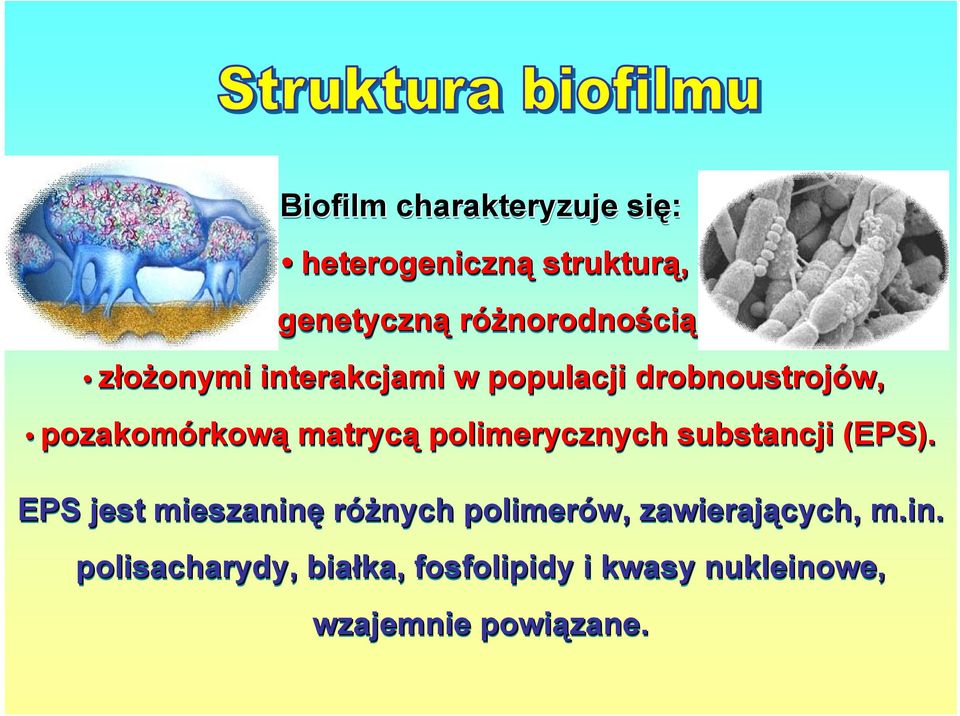 polimerycznych substancji (EPS).