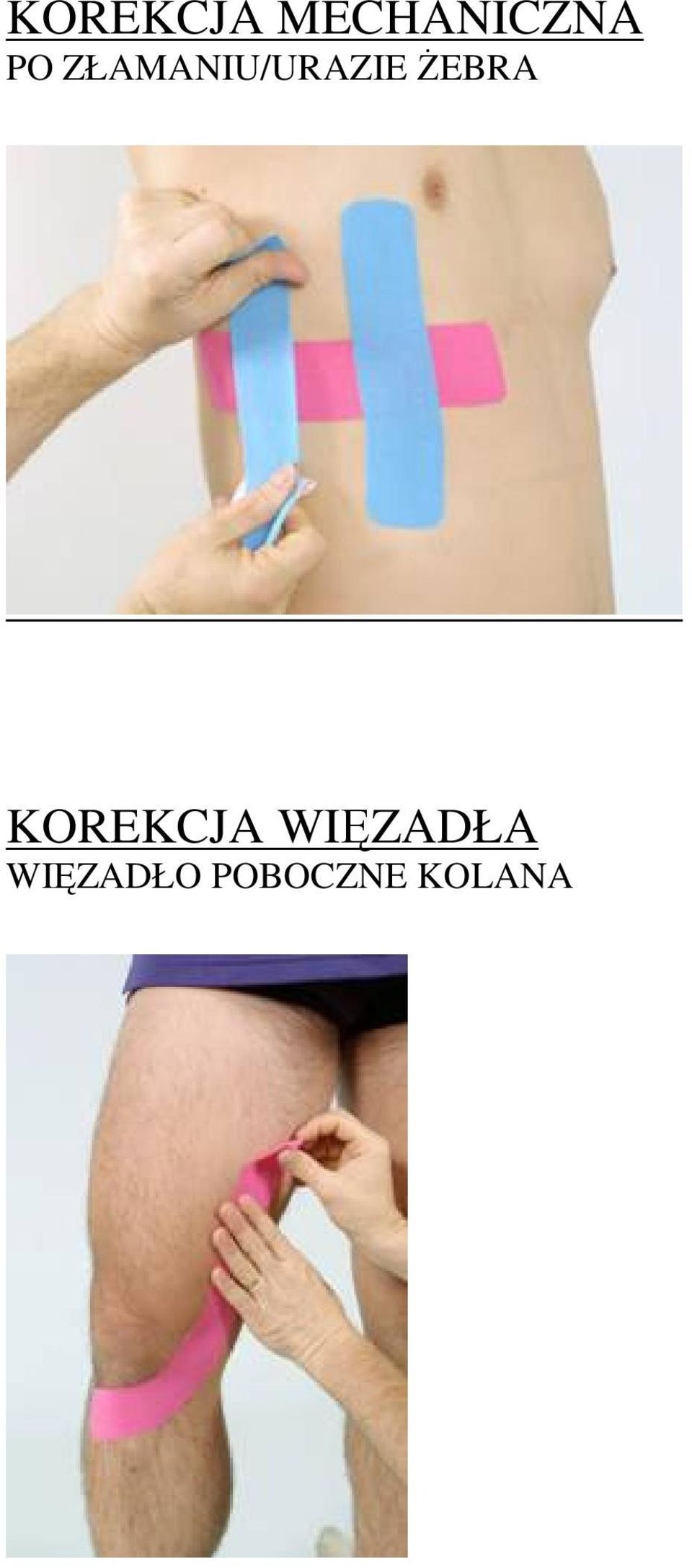 ŻEBRA KOREKCJA