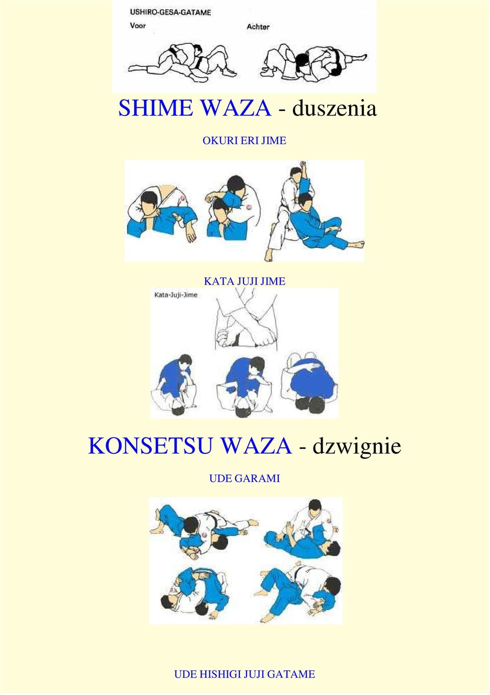 KONSETSU WAZA - dzwignie