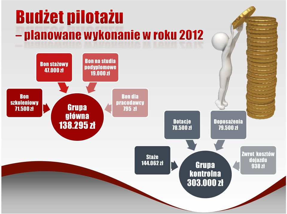 500 zł 795 zł Grupa główna 138.295 zł Dotacje 78.