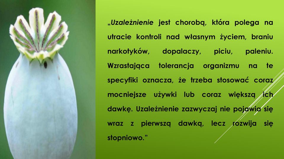 Wzrastająca tolerancja organizmu na te specyfiki oznacza, że trzeba stosować coraz