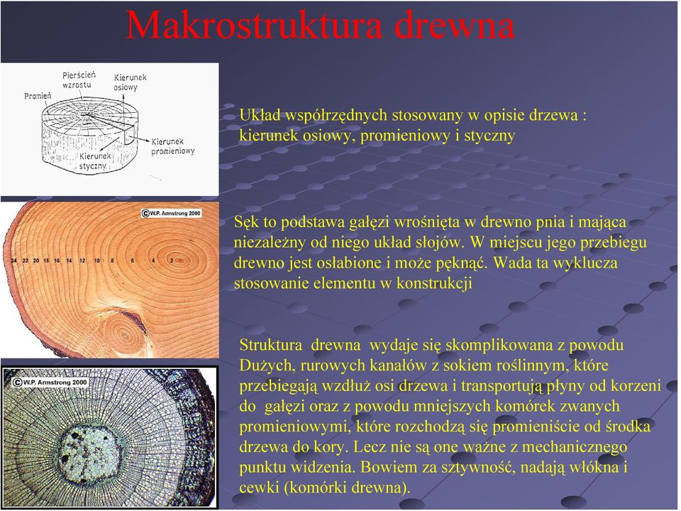 Wada ta wyklucza stosowanie elementu w konstrukcji Struktura drewna wydaje się skomplikowana z powodu Dużych, rurowych kanałów z sokiem roślinnym, które przebiegają wzdłuż osi