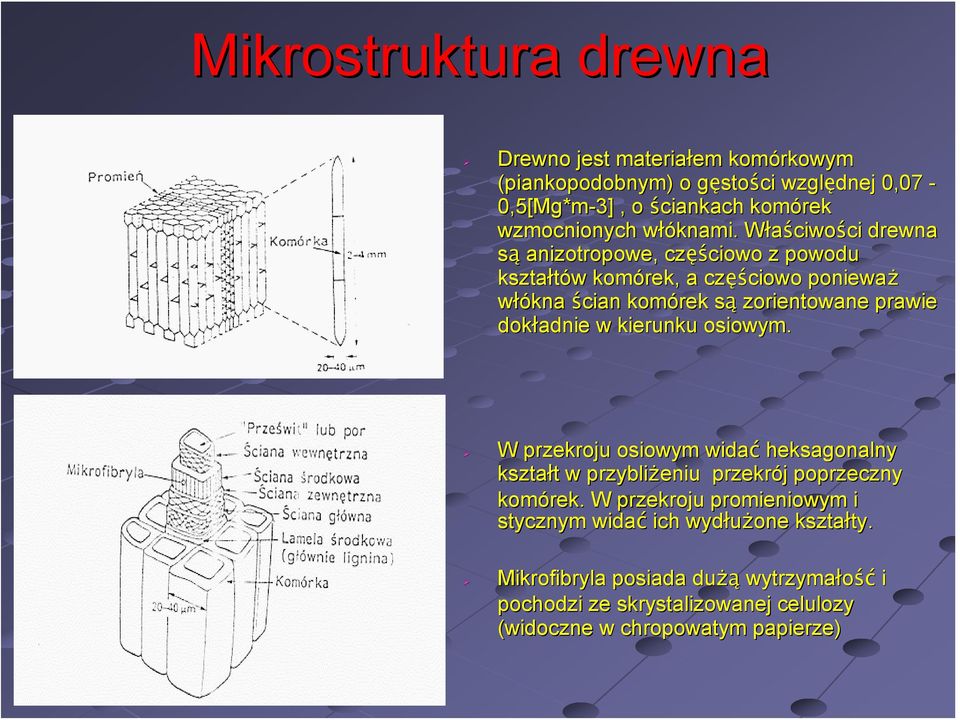 w WłaściwoW ciwości drewna są anizotropowe, częś ęściowo z powodu kształtów w komórek, a częś ęściowo ponieważ włókna ścian komórek sąs zorientowane prawie