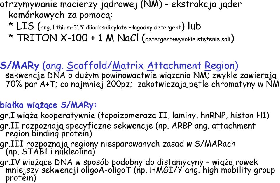 Scaffold/Matrix Attachment Region) sekwencje DNA o dużym powinowactwie wiązania NM; zwykle zawierają 70% par A+T; co najmniej 200pz; zakotwiczają pętle chromatyny w NM białka wiążące S/MARy: gr.