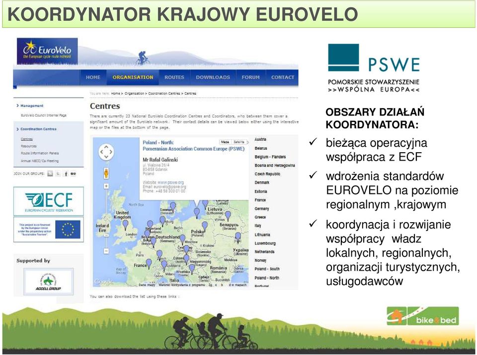 na poziomie regionalnym,krajowym koordynacja i rozwijanie