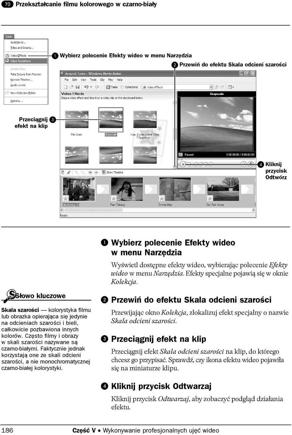 Często filmy i obrazy w skali szarości nazywane są czarno-białymi. Faktycznie jednak korzystają one ze skali odcieni szarości, a nie monochromatycznej czarno-białej kolorystyki.