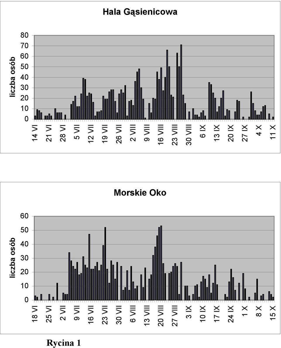 11 X Morskie Oko 60 50 liczba osób 40 30 20 10 0 18 VI 25 VI 2 VII 9 VII 16 VII 23