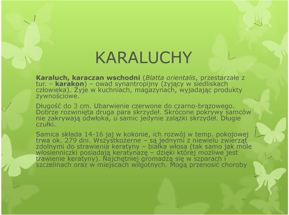 Skrócone pokrywy samców nie zakrywają odwłoka, u samic jedynie zalążki skrzydeł. Długie czułki. Samica składa 14-16 jaj w kokonie, ich rozwój w temp. pokojowej trwa ok. 279 dni.