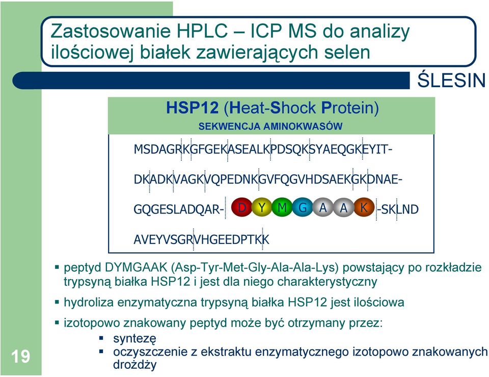 DYMGAAK (Asp-Tyr-Met-Gly-Ala-Ala-Lys) powstający po rozkładzie trypsyną białka HSP12 i jest dla niego charakterystyczny hydroliza