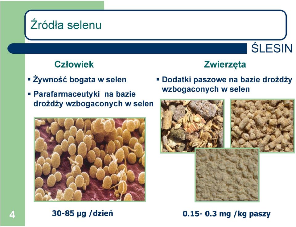 selen Zwierzęta Dodatki paszowe na bazie drożdży