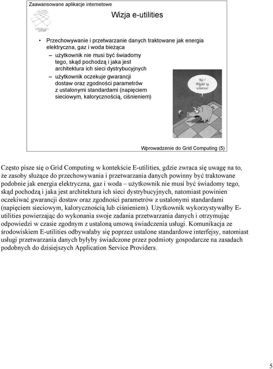 pisze się o Grid Computing w kontekście E-utilities, gdzie zwraca się uwagę na to, że zasoby służące do przechowywania i przetwarzania danych powinny być traktowane podobnie jak energia elektryczna,