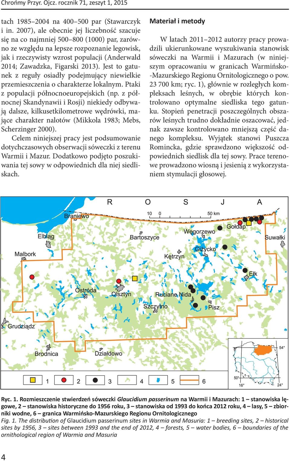 Figarski 2013). Jest to gatunek z reguły osiadły podejmujący niewielkie przemieszczenia o charakterze lokalnym. Ptaki z populacji północnoeuropejskich (np.