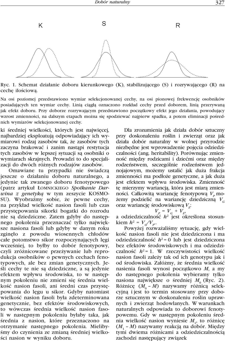 Linią ciągłą oznaczono rozkład cechy przed doborem, linią przerywaną jak efekt doboru.