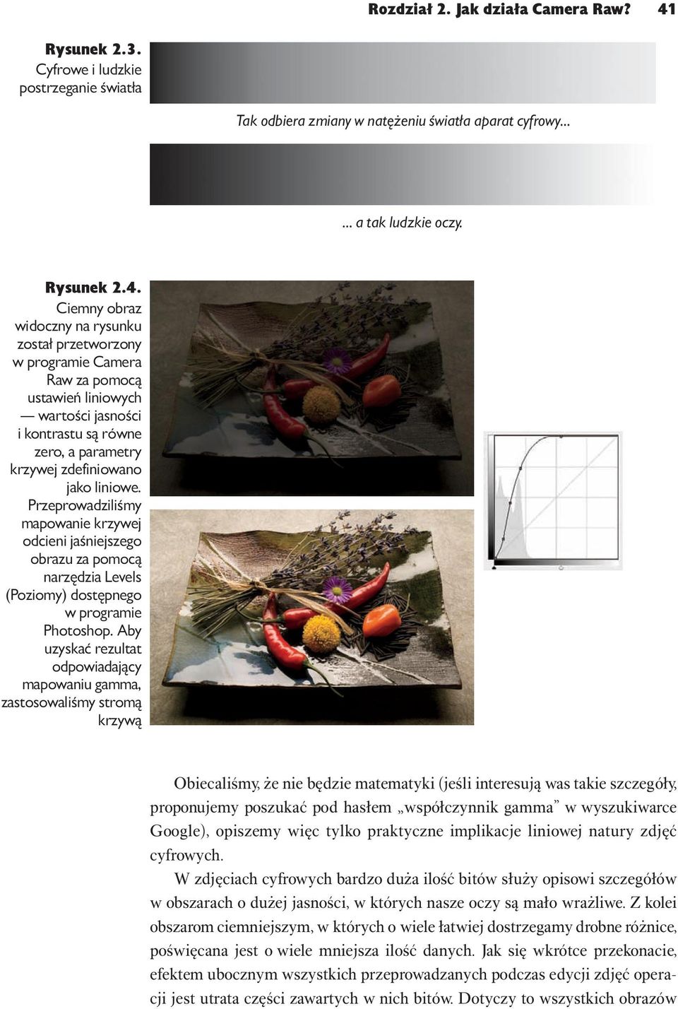 Ciemny obraz widoczny na rysunku został przetworzony w programie Camera Raw za pomocą ustawień liniowych wartości jasności i kontrastu są równe zero, a parametry krzywej zdefiniowano jako liniowe.