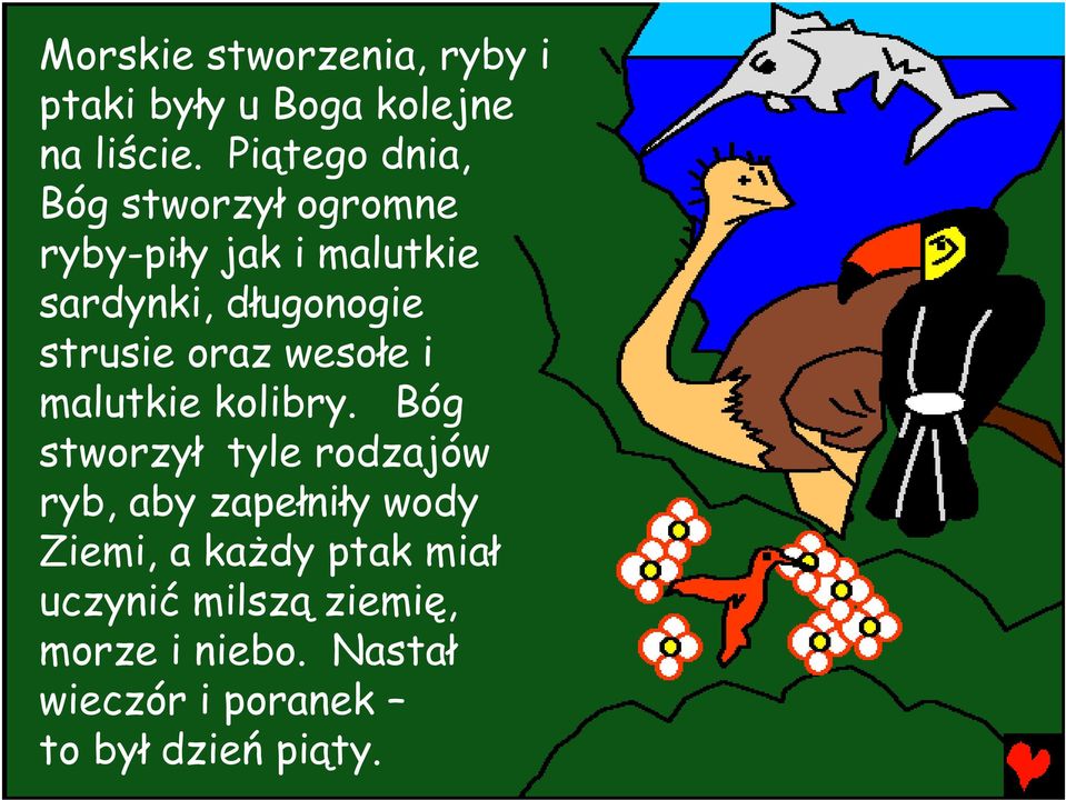 strusie oraz wesołe i malutkie kolibry.