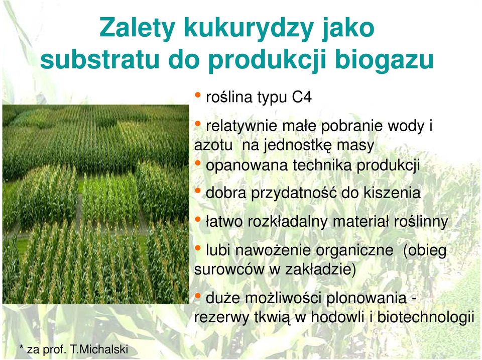 technika produkcji dobra przydatność do kiszenia łatwo rozkładalny materiał roślinny lubi