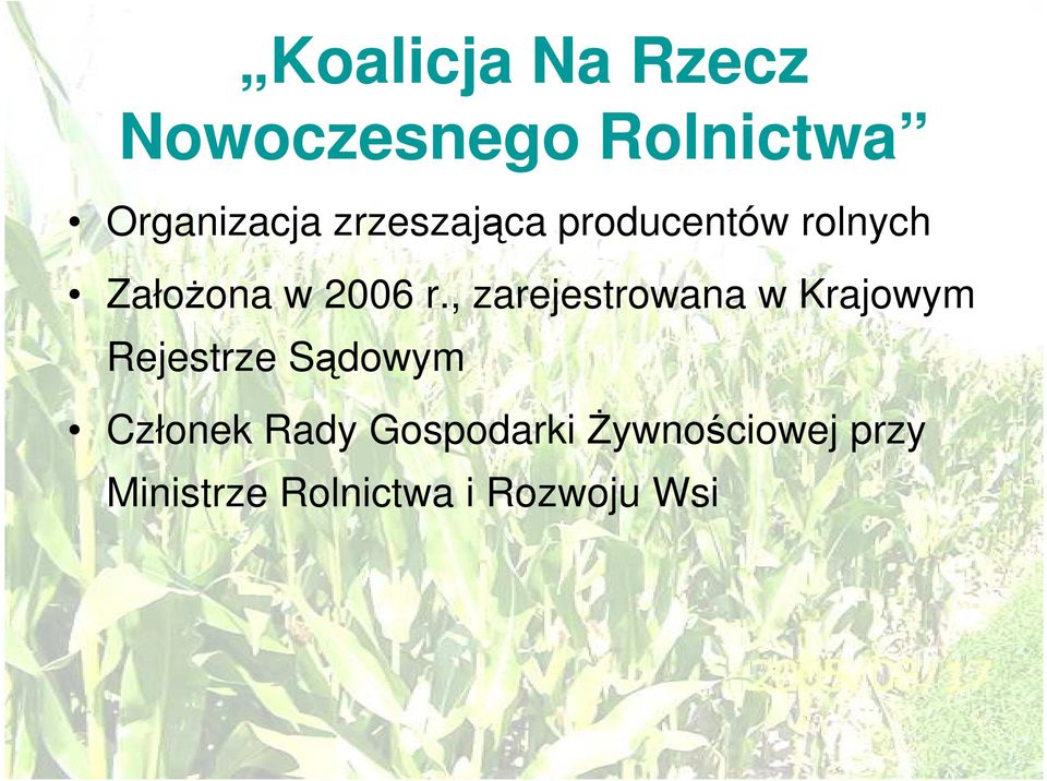 , zarejestrowana w Krajowym Rejestrze Sądowym Członek