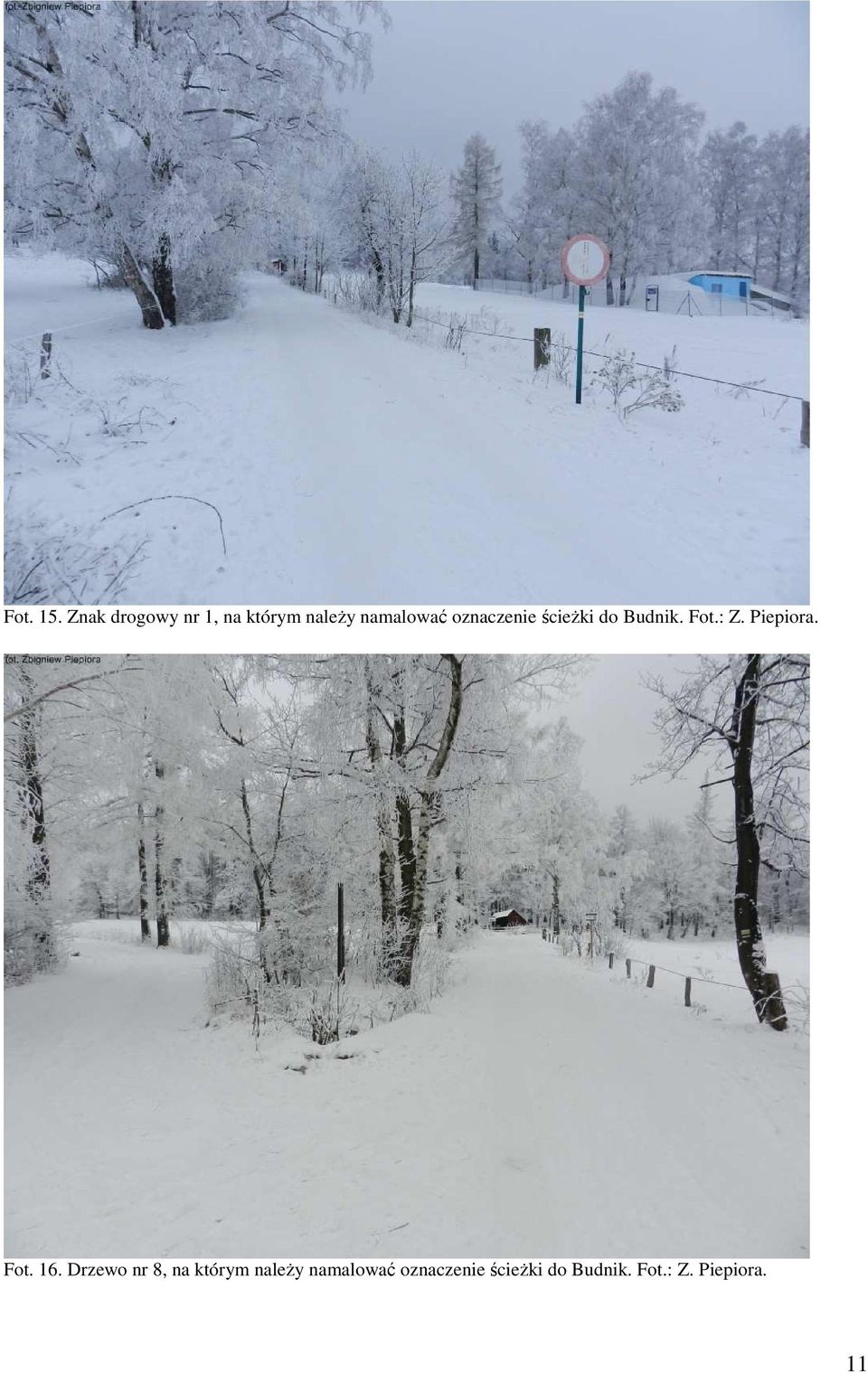 oznaczenie ścieżki do Budnik. Fot.: Z. Piepiora.