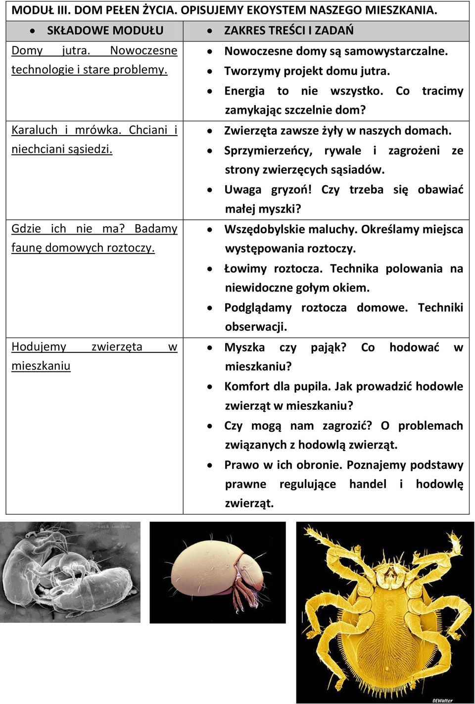 Sprzymierzeocy, rywale i zagrożeni ze strony zwierzęcych sąsiadów. Uwaga gryzoo! Czy trzeba się obawiad małej myszki? Gdzie ich nie ma? Badamy faunę domowych roztoczy. Wszędobylskie maluchy.