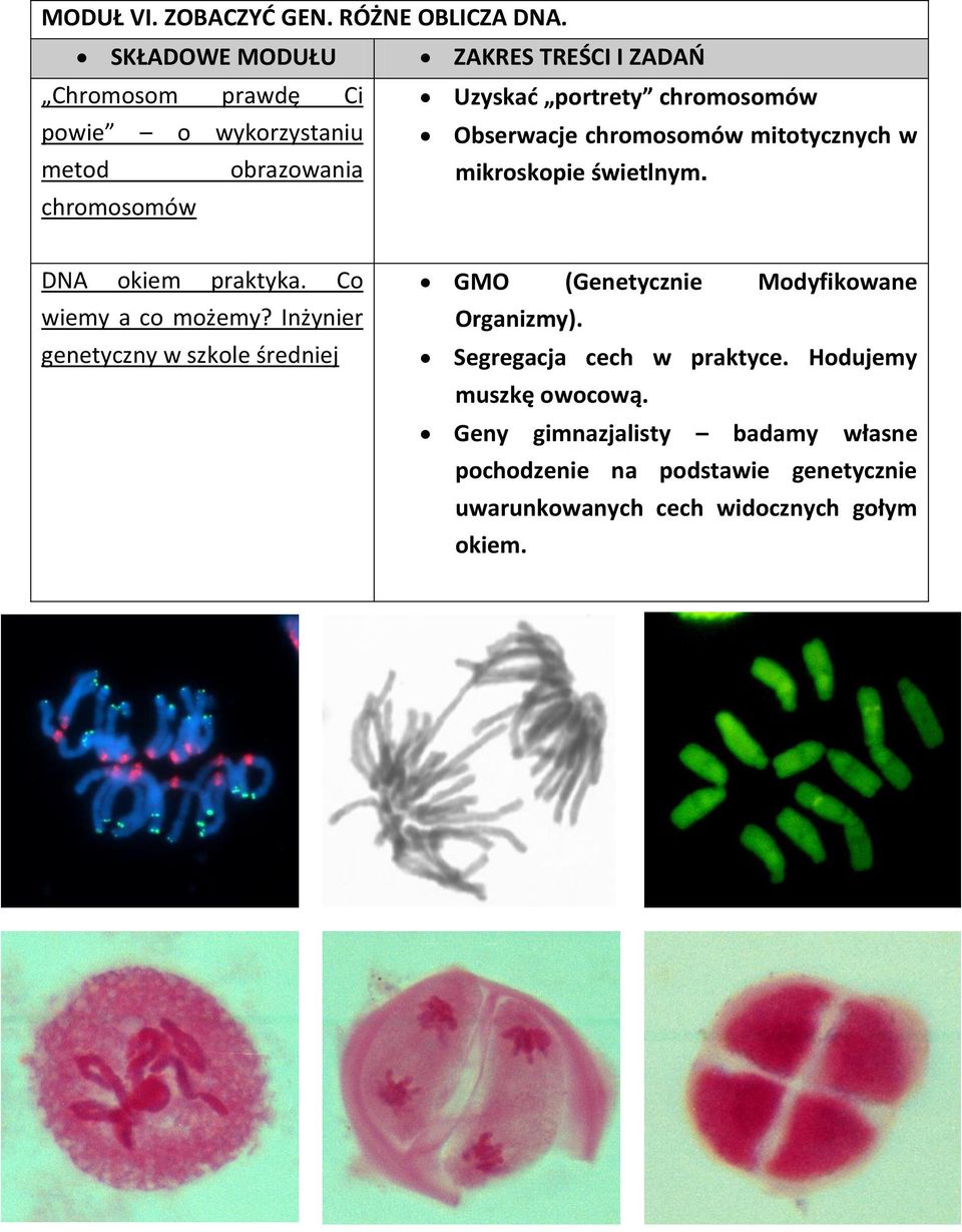 obrazowania mikroskopie świetlnym. chromosomów DNA okiem praktyka. Co wiemy a co możemy?