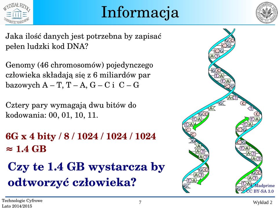 T, T A, G C i C G Cztery pary wymagają dwu bitów do kodowania: 00, 01, 10, 11.