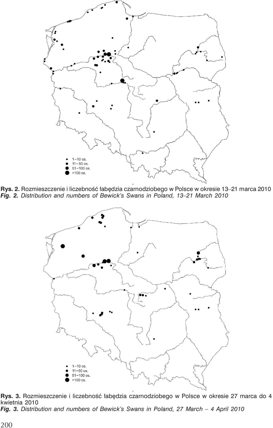 2. Distribution and numbers of Bewick s Swans in Poland, 13 21 March2010 Rys. 3.