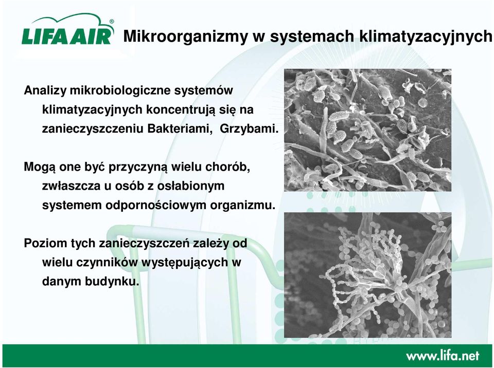 Mogą one być przyczyną wielu chorób, zwłaszcza u osób z osłabionym systemem