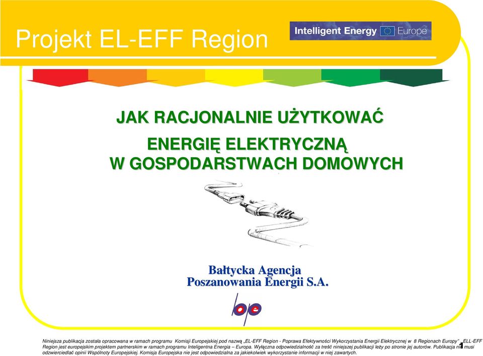 programu Komisji Europejskiej pod nazwą EL-EFF Region - Poprawa Efektywności Wykorzystania Energii Elektrycznej w 8 Regionach Europy.