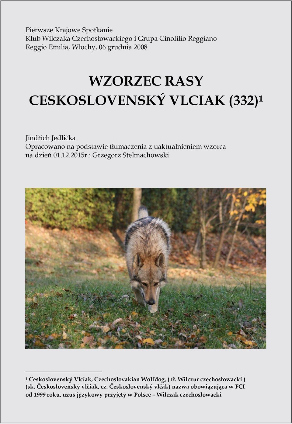 01.12.2015r.: Grzegorz Stelmachowski 1 Ceskoslovenský Vlciak, Czechoslovakian Wolfdog, ( tł. Wilczur czechosłowacki ) (sk.