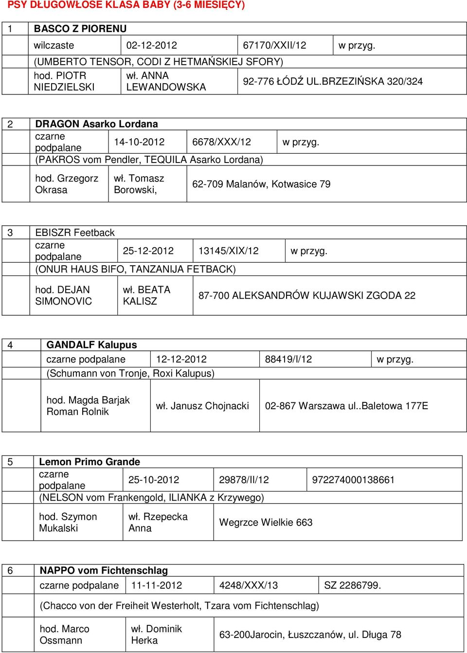 (PAKROS vom Pendler, TEQUILA Asarko Lordana) Grzegorz Okrasa Tomasz Borowski, 62-709 Malanów, Kotwasice 79 3 EBISZR Feetback 25-12-2012 13145/XIX/12 w przyg.