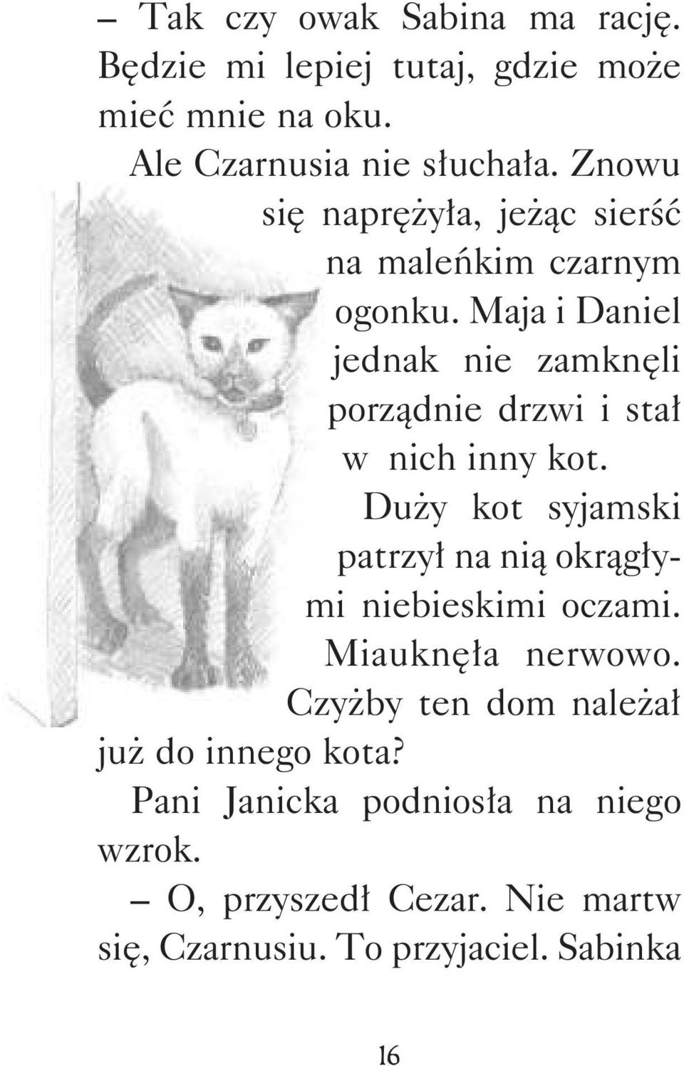 Maja i Daniel jednak nie zamknęli porządnie drzwi i stał w nich inny kot.