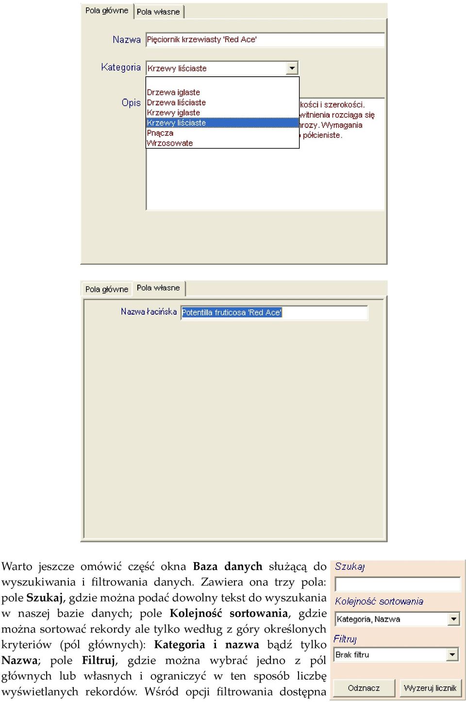 sortowania, gdzie można sortować rekordy ale tylko według z góry określonych kryteriów (pól głównych): Kategoria i nazwa bądź