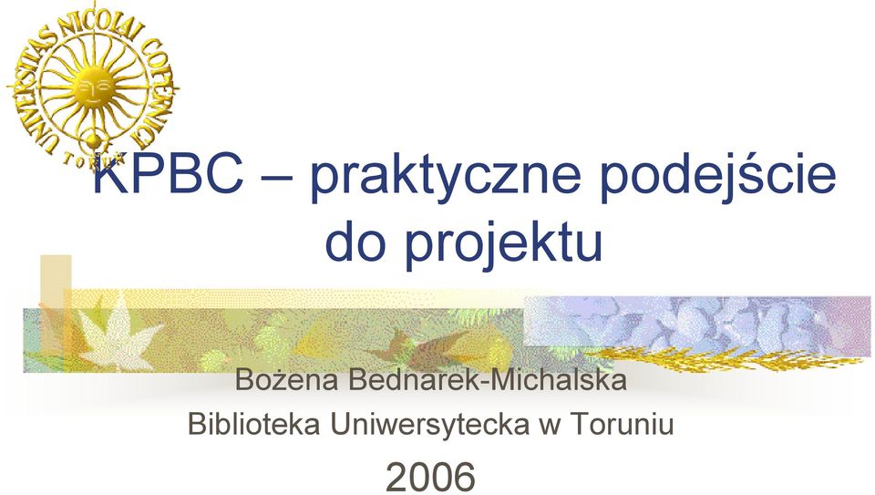 Bednarek-Michalska