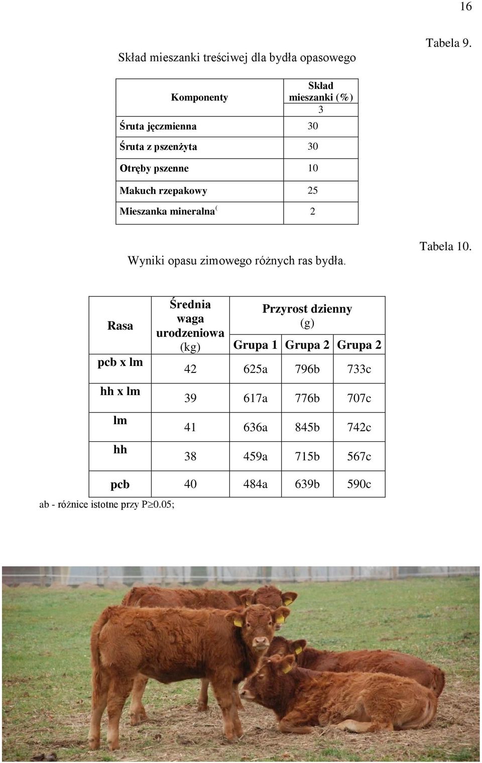 mieszanki (%) 3 Wyniki opasu zimowego różnych ras bydła. Tabela 10.