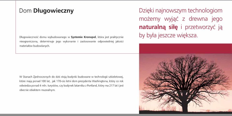 Dzięki najnowszym technologiom możemy wyjąć z drewna jego naturalną siłę i przetworzyć ją by była jeszcze większa.