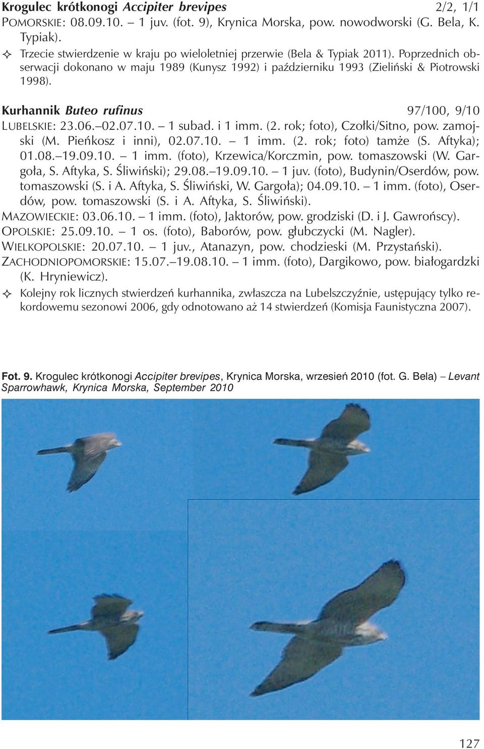 Kurhannik Buteo rufinus 97/100, 9/10 LUBELSKIE: 23.06. 02.07.10. 1 subad. i 1 imm. (2. rok; foto), Czołki/Sitno, pow. zamojski (M. Pieńkosz i inni), 02.07.10. 1 imm. (2. rok; foto) tamże (S.