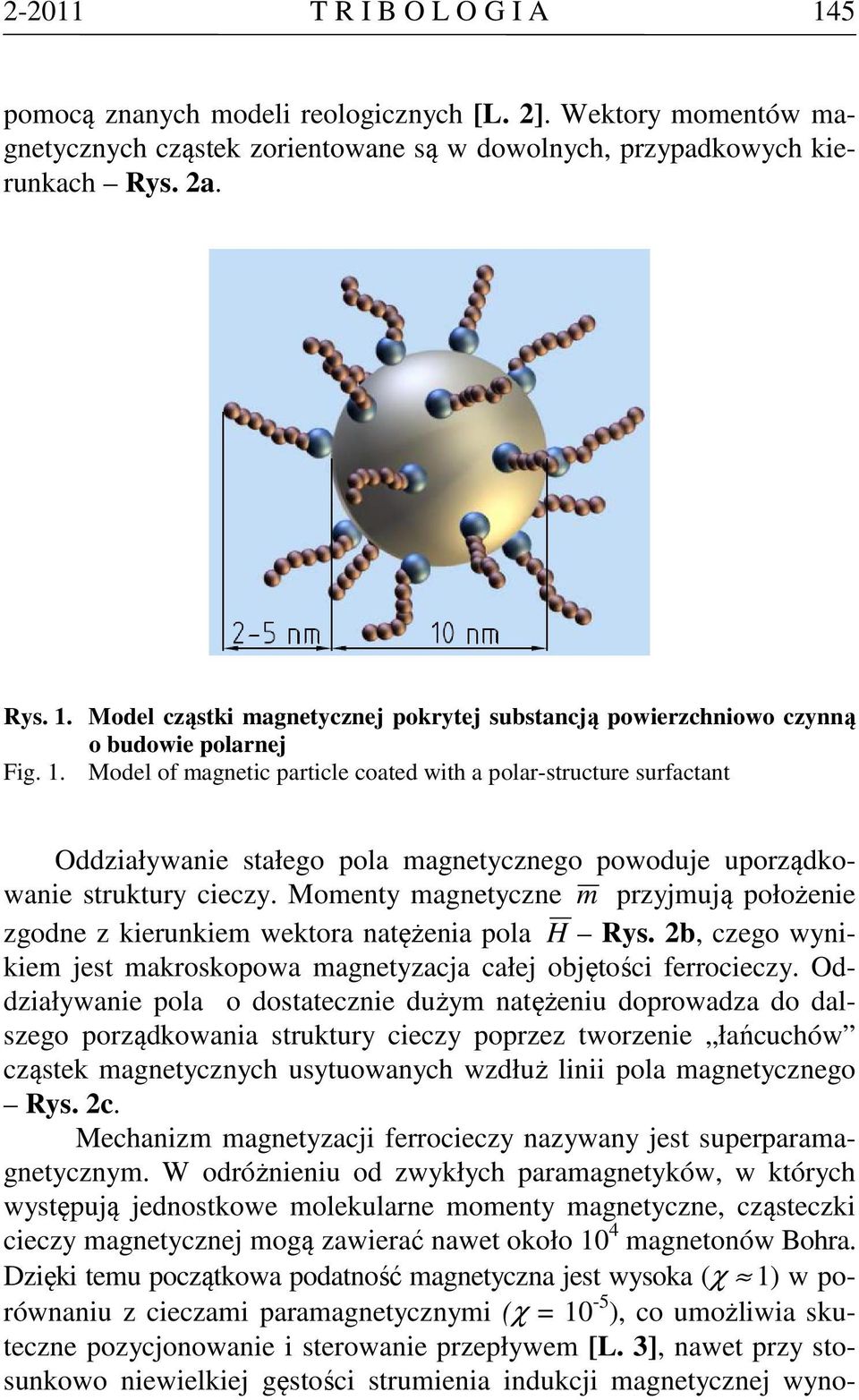 Momenty magnetyczne m przyjmują położenie zgodne z kierunkiem wektora natężenia pola H Rys. 2b, czego wynikiem jest makroskopowa magnetyzacja całej objętości ferrocieczy.