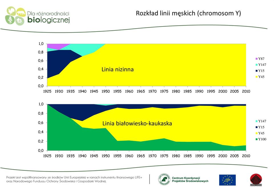 2000 2005 2010 1,0 0,8 0,6 0,4 0,2 Linia białowiesko-kaukaska Y147 Y15 Y45 Y100 0,0