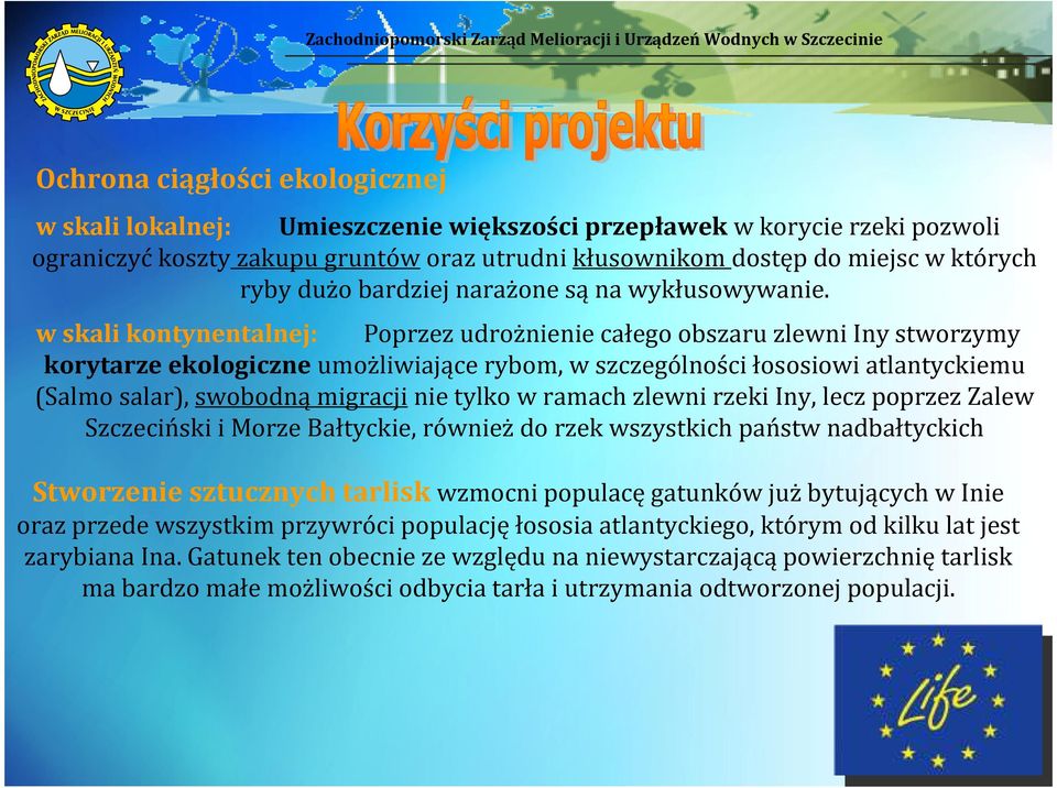 w skali kontynentalnej: Poprzez udrożnienie całego obszaru zlewni Iny stworzymy korytarze ekologiczneumożliwiające rybom, w szczególności łososiowi atlantyckiemu (Salmo salar), swobodnąmigracjinie