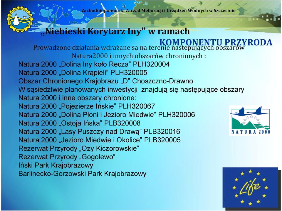 2000 i inne obszary chronione: Natura 2000 Pojezierze Ińskie PLH320067 Natura 2000 Dolina Płoni i Jezioro Miedwie PLH320006 Natura 2000 Ostoja Ińska PLB320008 Natura 2000 Lasy Puszczy