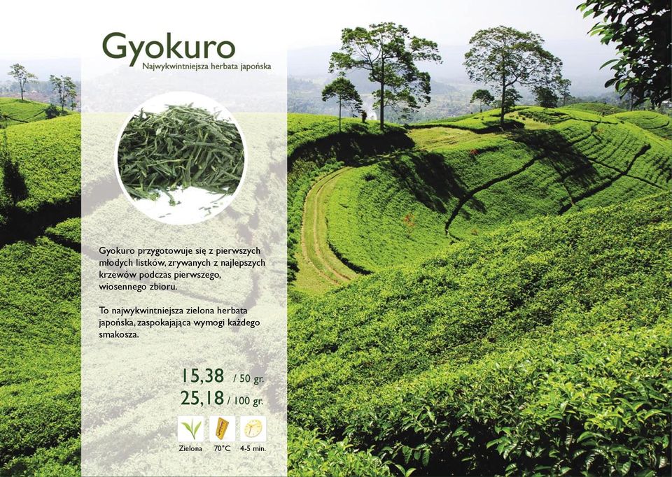 To najwykwintniejsza zielona herbata japońska, zaspokajająca