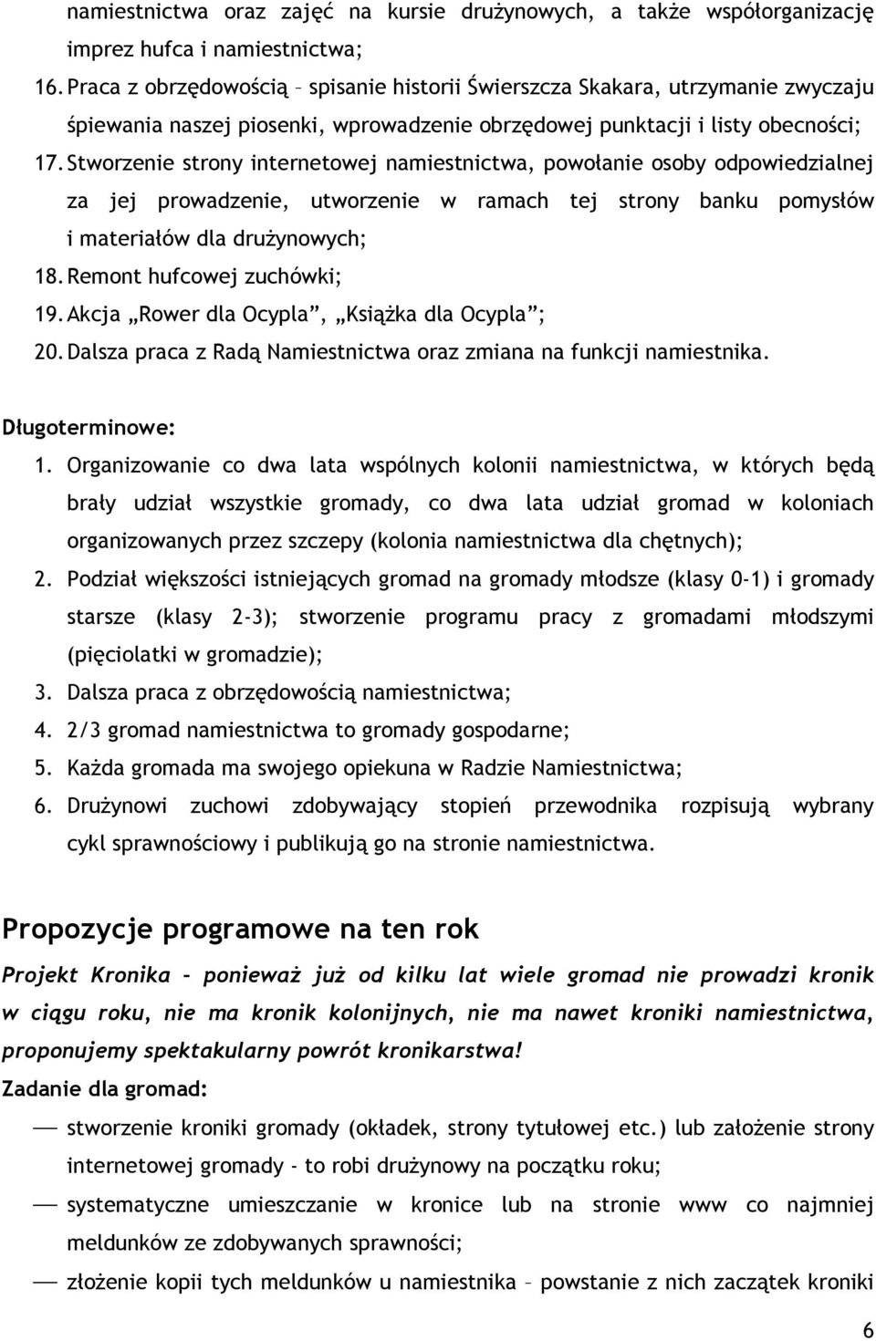 Stworzenie strony internetowej namiestnictwa, powołanie osoby odpowiedzialnej za jej prowadzenie, utworzenie w ramach tej strony banku pomysłów i materiałów dla drużynowych; 18.