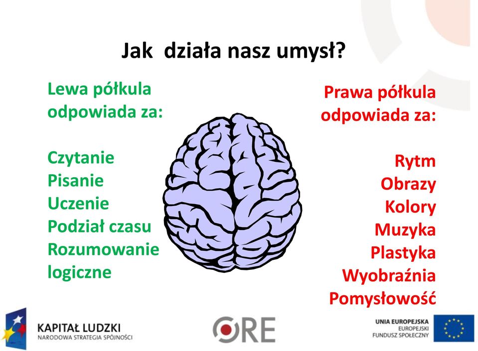 Uczenie Podział czasu Rozumowanie logiczne Prawa