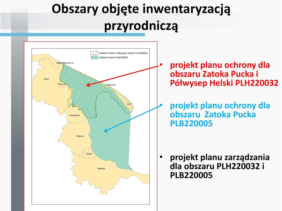 PLH220032 projekt planu ochrony dla obszaru Zatoka Pucka