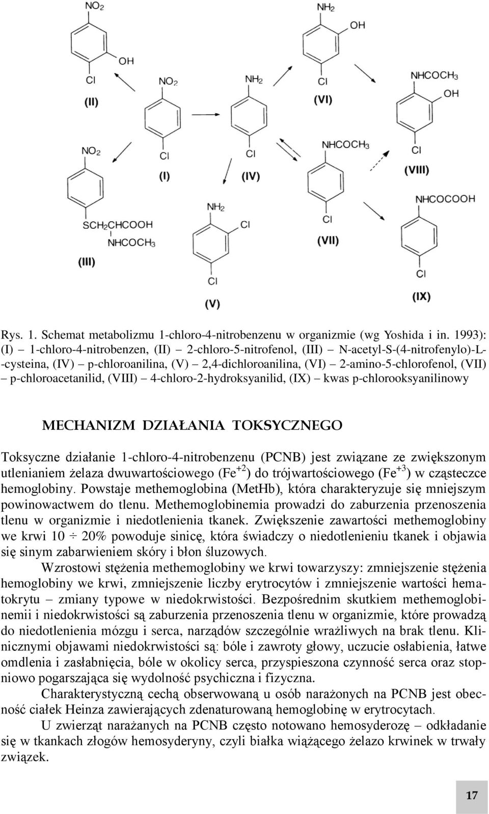 p-chloroacetanilid, (VIII) 4-chloro-2-hydroksyanilid, (IX) kwas p-chlorooksyanilinowy MECHANIZM DZIAŁANIA TOKSYCZNEGO Toksyczne działanie 1-chloro-4-nitrobenzenu (PCNB) jest związane ze zwiększonym